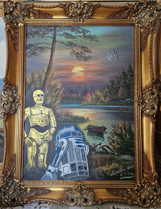 ORIGINAL "Star Wars - sunday walk"